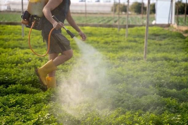 Best Emergency Pest Control  in Yoakum, TX