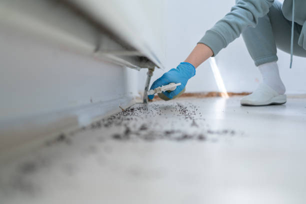 Best Commercial Pest Control Services  in Yoakum, TX